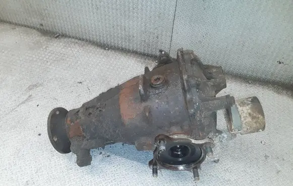 Toyota RAV 4 (XA20) Rear differential