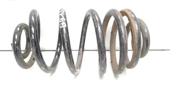 Rear coil spring