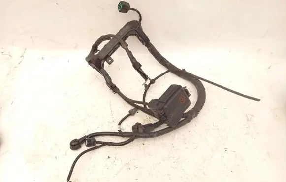 Positive wiring loom