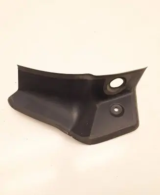 Rear/tail light trim molding