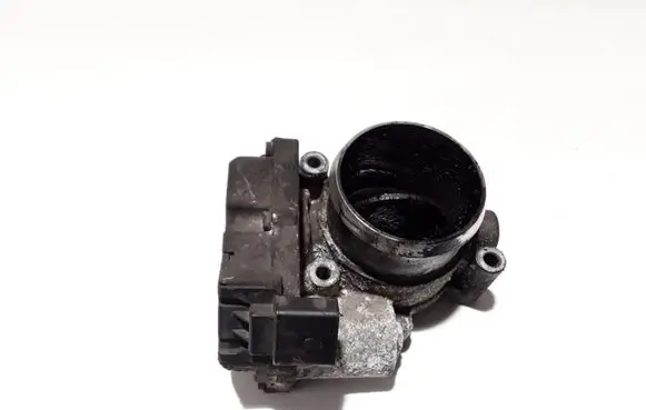 Hyundai Santa Fe Throttle valve