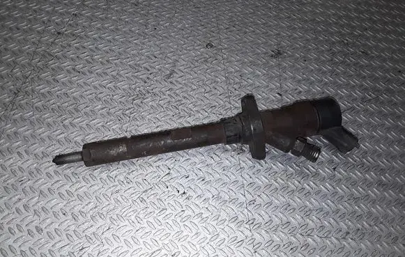 Peugeot 607 Fuel injector 0445110036
