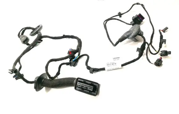 Rear door wiring loom