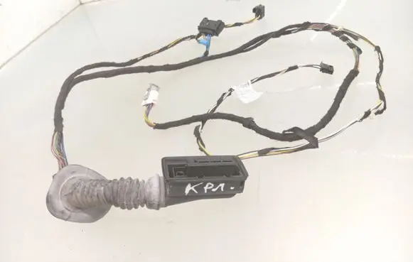 BMW 3 F30 F35 F31 Front door wiring loom 19344411