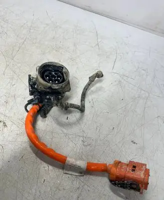 Porsche Cayenne (92A) Other wiring loom 7P5971676N