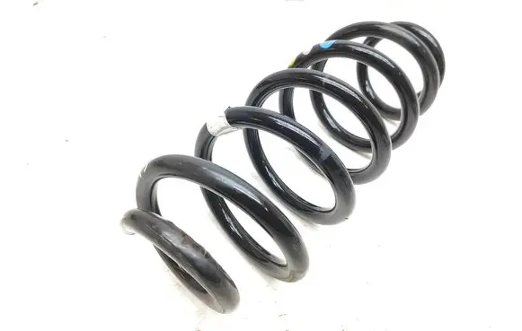 Rear coil spring
