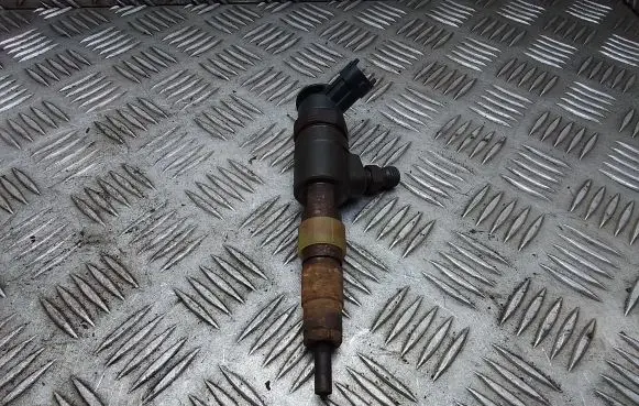 Citroen Berlingo Fuel injector 0445110340 870692