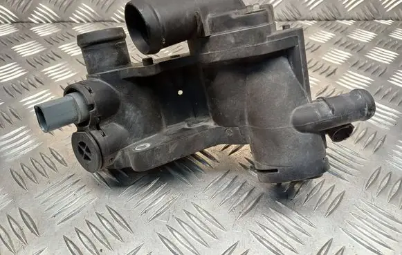Thermostat/thermostat housing