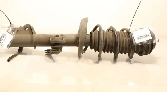 Fiat Tipo Front shock absorber with coil spring 824903014637