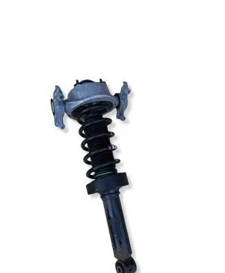 Volkswagen Touareg II Rear shock absorber with coil spring 7P6513029BJ
