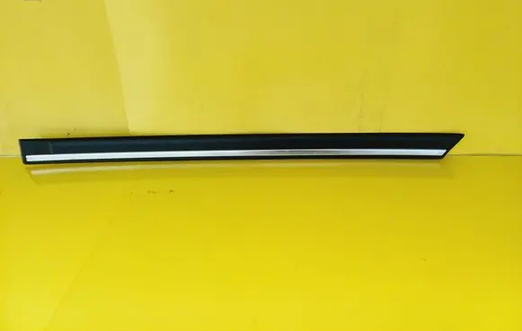 Rear door trim (molding)