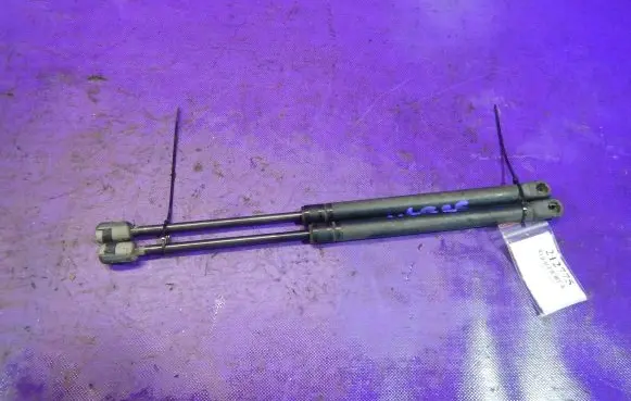 Tailgate strut