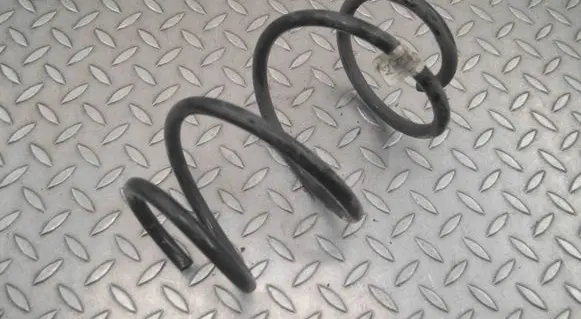Front coil spring