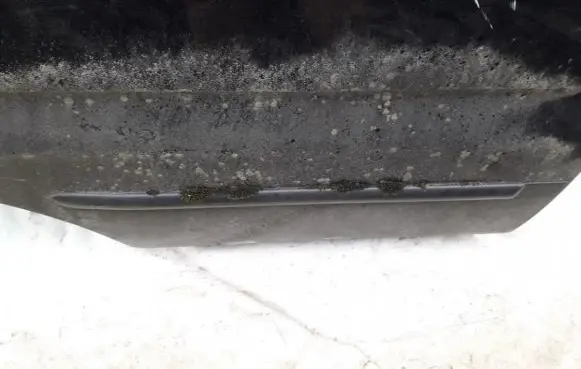 Rear door trim (molding)