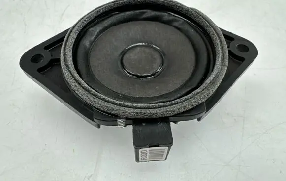Panel speaker