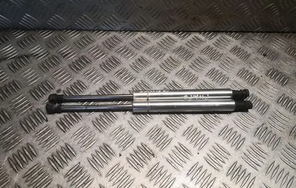 Volkswagen Phaeton Front bonnet/hood damper/strut 3D0823359B