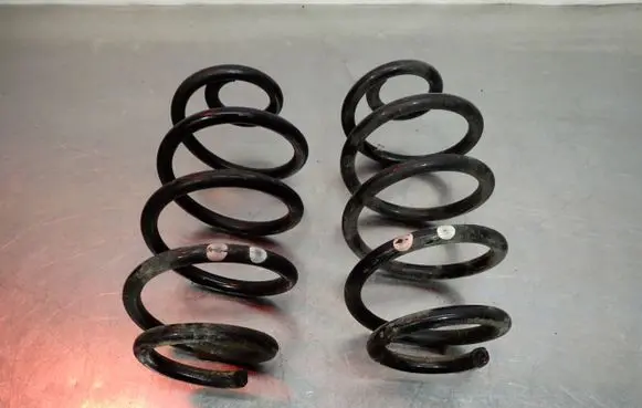 Nissan Juke I F15 Rear coil spring