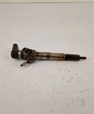 Nissan Qashqai Fuel injector H8201100113