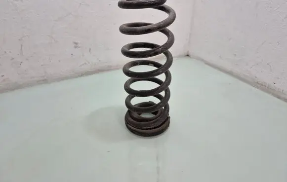 Rear coil spring