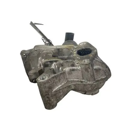 Renault Scenic III - Grand scenic III EGR valve 3129004