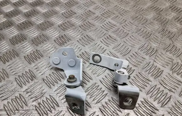Ford Focus Rear door hinge set 