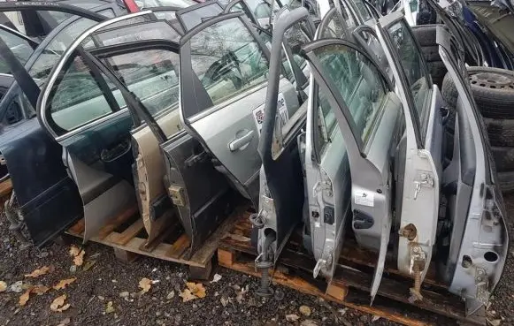 Mitsubishi Space Wagon Front door sidabrines