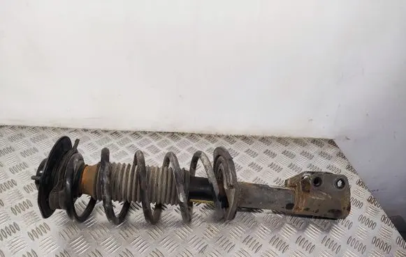 Chevrolet Captiva Front shock absorber with coil spring 95166266