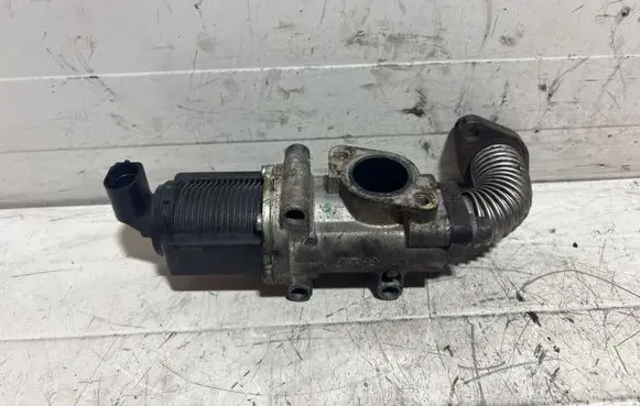 Opel Zafira B EGR valve 50024005 09T162