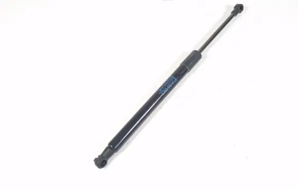 Tailgate strut