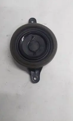 Front door speaker