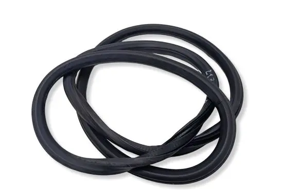 Opel Insignia A Front door rubber seal 