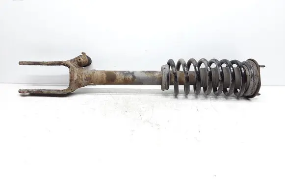 Mercedes-Benz R W251 Front shock absorber with coil spring