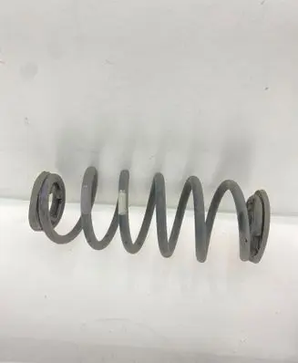Rear coil spring