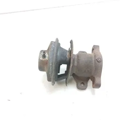 Hyundai Terracan EGR valve