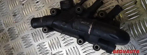 Thermostat/thermostat housing