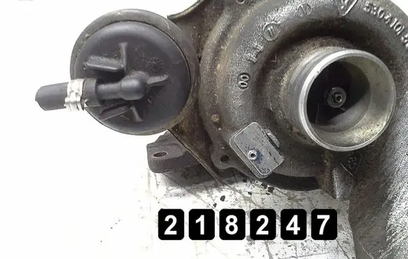 Renault Kangoo I Turbo 53041015068