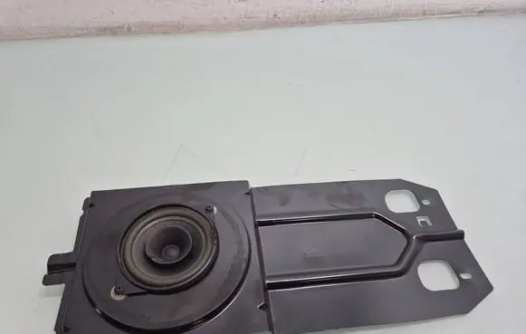 Opel Vivaro Headliner speaker 316971A