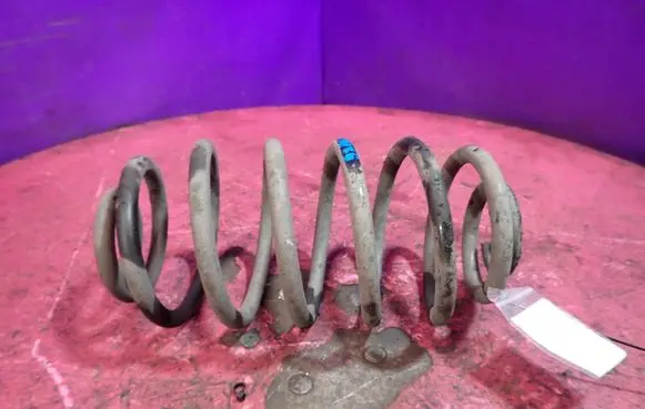 Rear coil spring