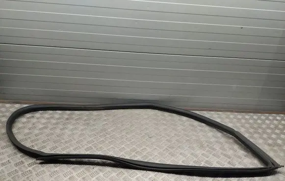 Chevrolet Camaro Rubber seal front coupe door 246649263