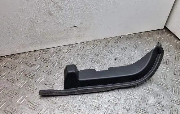 Rear/tail light trim molding