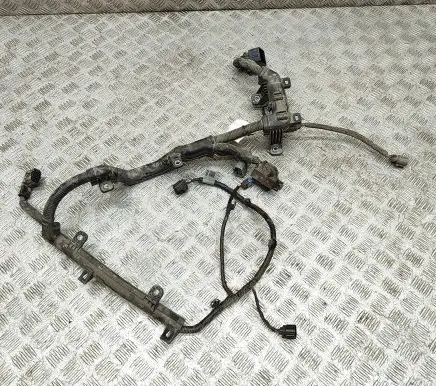 Other wiring loom