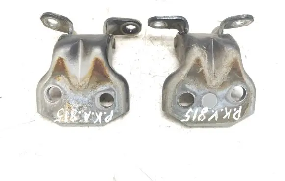 Subaru Outback Front door hinge set D4S