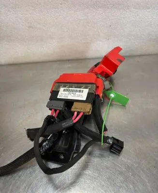 Other wiring loom