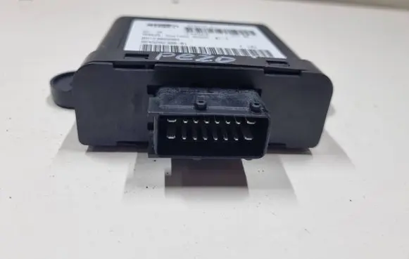 Peugeot 406 Fuel injection pump control unit/module 09733009904 EAS10001 9648282380