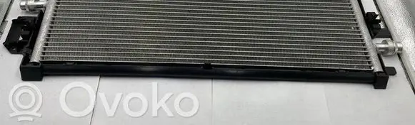 Tesla Model 3 Coolant radiator 107708200C