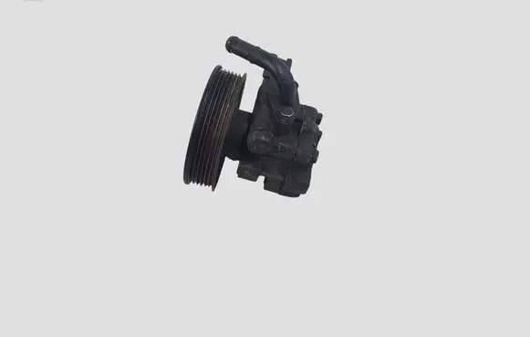 Hyundai Santa Fe Power steering pump