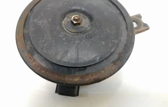 Hyundai Tucson JM Horn signal E428r000033