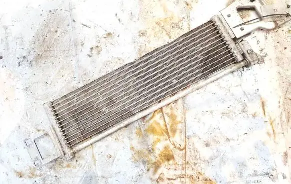 Mercedes-Benz E W212 Fuel cooler (radiator) s2990002