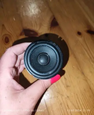 Panel speaker