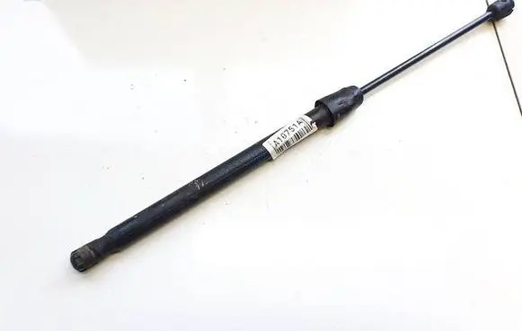 Tailgate/trunk strut/damper